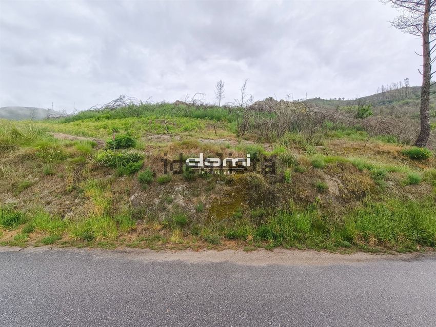 Moradia T5 à venda em São Martinho das Moitas e Covas do Rio, São Pedro do Sul — foto 30