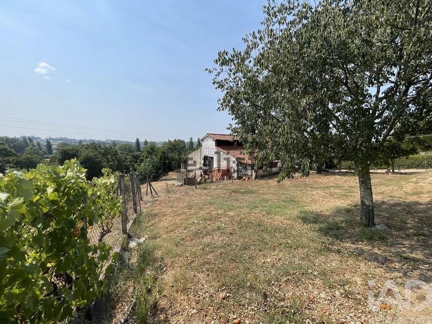 Moradia T4 à venda em Tomar (São João Baptista) e Santa Maria dos Olivais, Tomar — foto 27