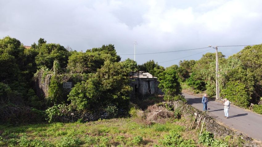 Moradia T1 à venda em Piedade, Lajes do Pico — foto 27