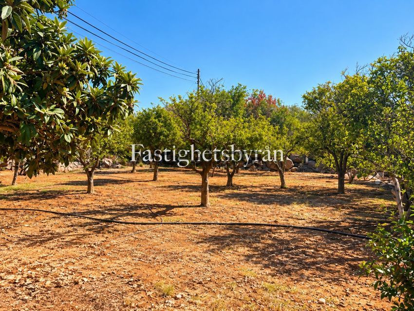 Moradia T1 à venda em Santo Estêvão, Tavira — foto 28