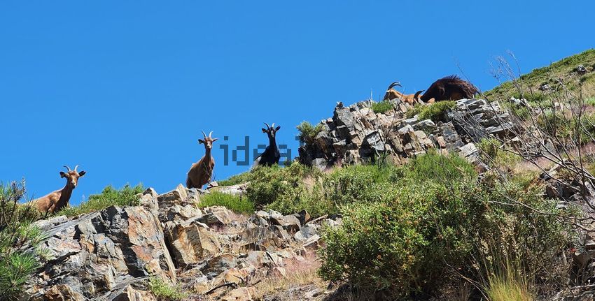 Moradia T1 à venda em Carvalhais e Candal, São Pedro do Sul — foto 8