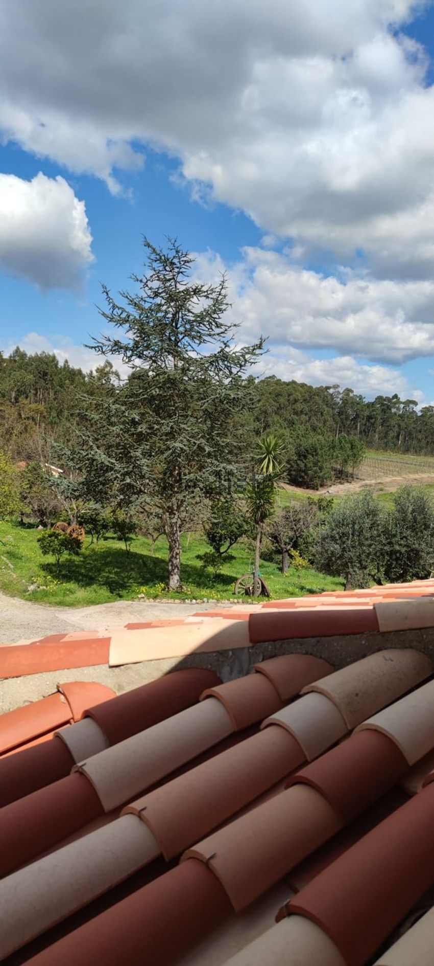 Moradia T6+ à venda em Sangalhos, Anadia — foto 23