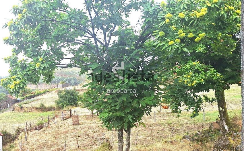 Moradia T2 à venda em Labrujó, Rendufe e Vilar do Monte, Ponte de Lima — foto 10
