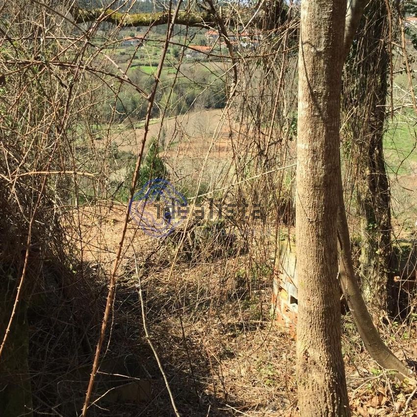 Moradia T2 à venda em Cossourado e Linhares, Paredes de Coura — foto 9