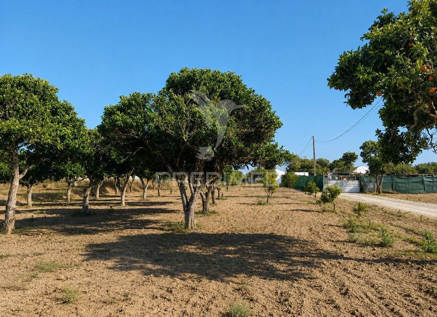 Moradia T2 à venda em Santo André, Santiago do Cacém — foto 30