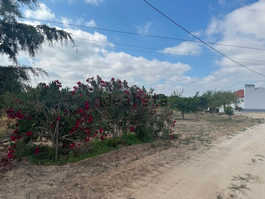 Moradia T2 à venda em Biscainho, Coruche — foto 19