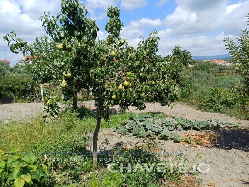 Moradia T2 à venda em Castelo, Sertã — foto 39