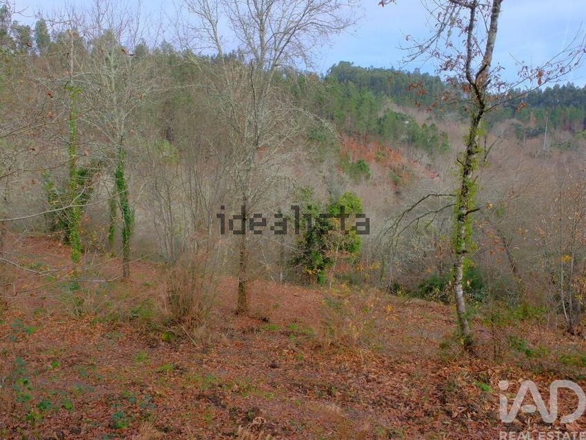 Moradia T3 à venda em Bordonhos, São Pedro do Sul — foto 14