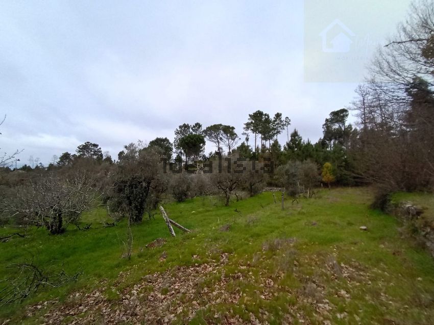 Moradia T2 à venda em Quintela de Azurara, Mangualde — foto 22