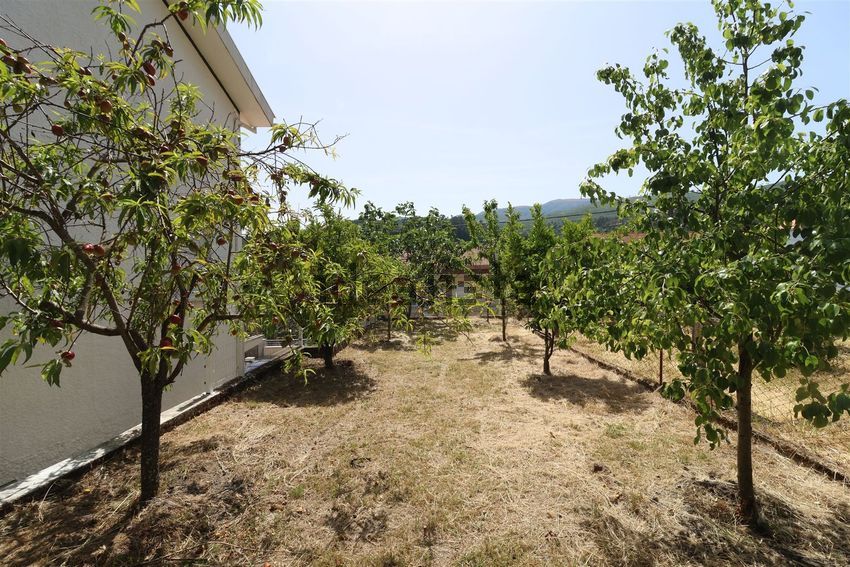 Moradia T6+ à venda em São Paio, Gouveia — foto 29
