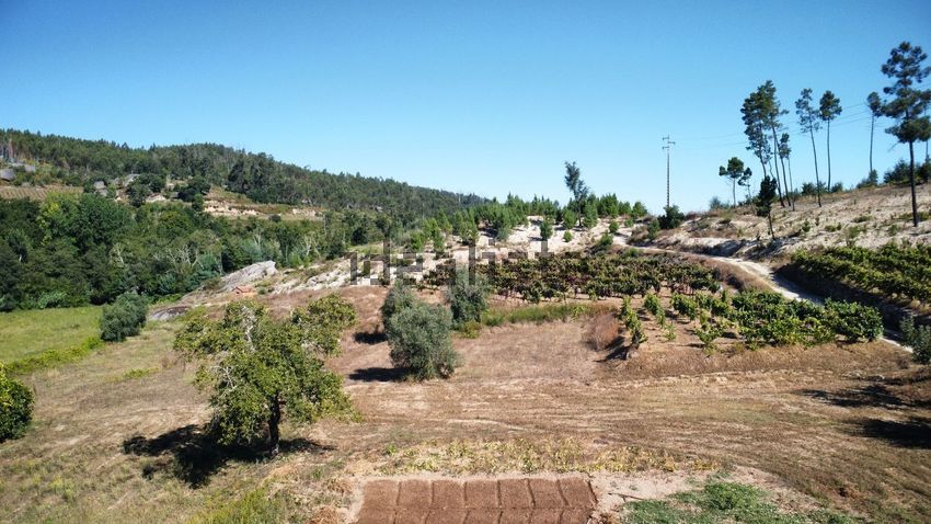 Moradia T3 à venda em Mouraz e Vila Nova da Rainha, Tondela — foto 8