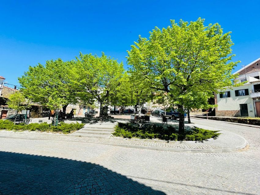 Moradia T4 à venda em Sanfins do douro, Alijó — foto 7