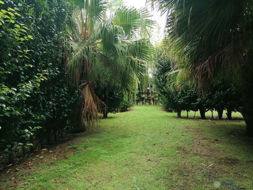 Moradia T3 à venda em Feteira, Horta — foto 26