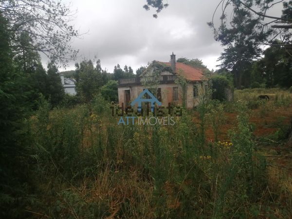 1-bedroom freehold villa in Santa Cruz/Caniço — photo 3 of 5