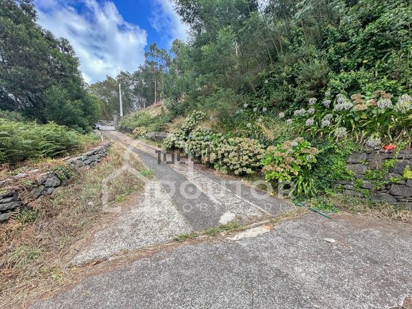 Detached house in ribeirinha Nn, Camacha — image 5