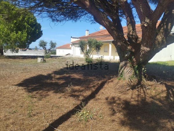 Detached house in Estrada Engenheiro Vieira Natividade, 230, Évora de Alcobaça — image 4
