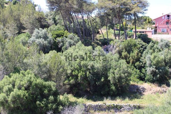4-bedroom freehold villa in Cascais/Estoril — photo 5 of 5