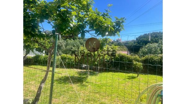 6-bedroom freehold villa in Cascais/Estoril — photo 5 of 5
