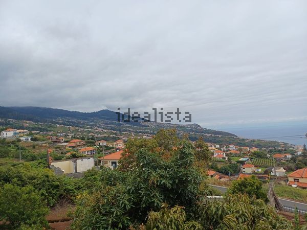 3-bedroom freehold villa in Calheta — photo 4 of 5