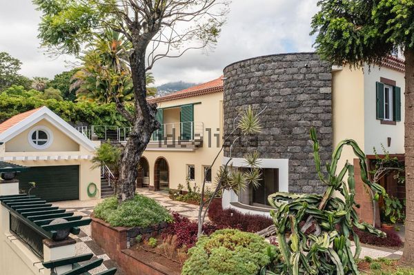 4-bedroom freehold villa in Funchal — photo 5 of 5