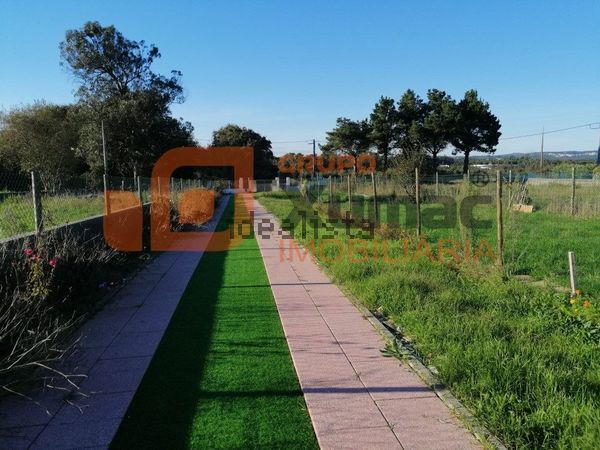 Quinta in Alfeizerão — image 4