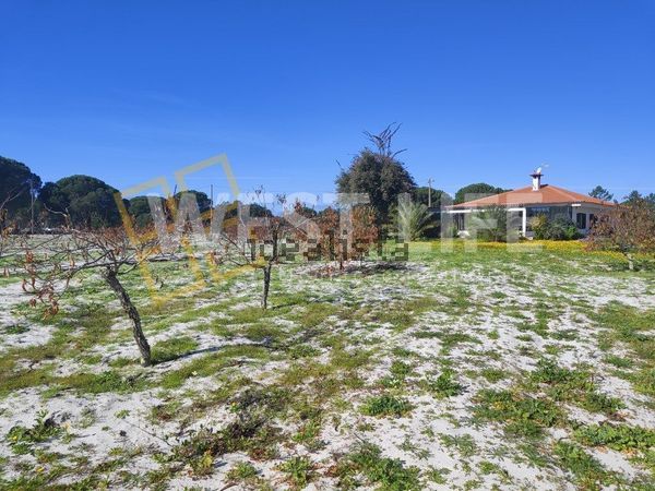 3-bedroom freehold villa in Comporta/Melides — photo 3 of 5