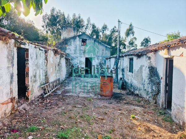2-bedroom freehold villa in Caldas da Rainha/Foz do Arelho — photo 4 of 5