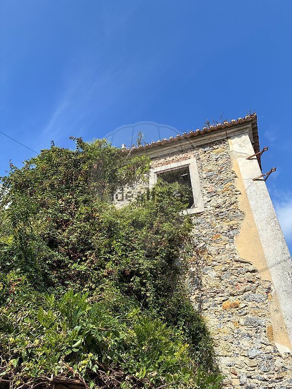 1-bedroom freehold villa in Sintra/Colares — photo 5 of 5