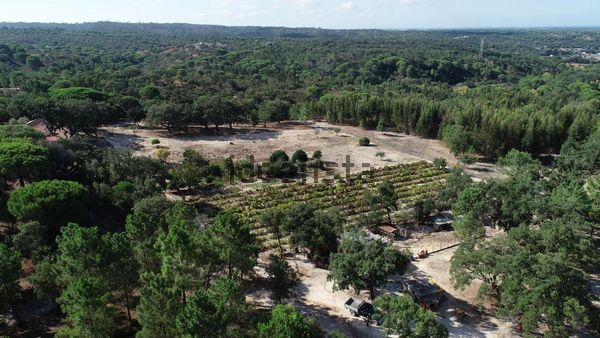 3-bedroom freehold villa in Comporta/Melides — photo 5 of 5