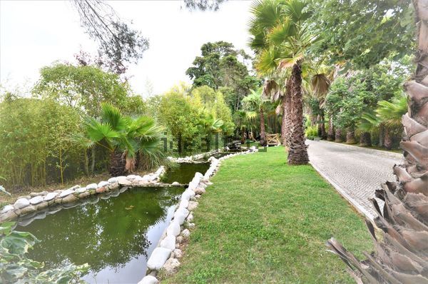 5-bedroom freehold villa in Mafra/Ericeira — photo 3 of 3