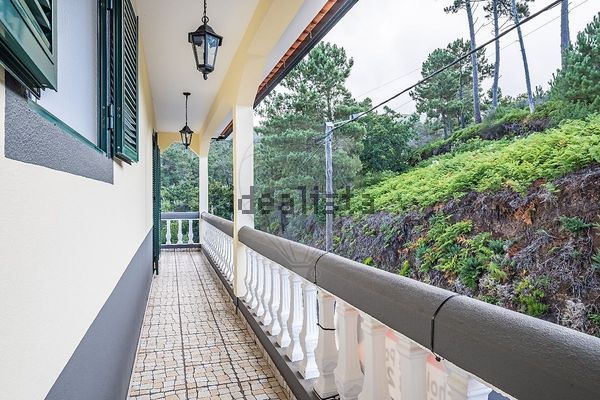 3-bedroom freehold villa in Calheta — photo 5 of 5