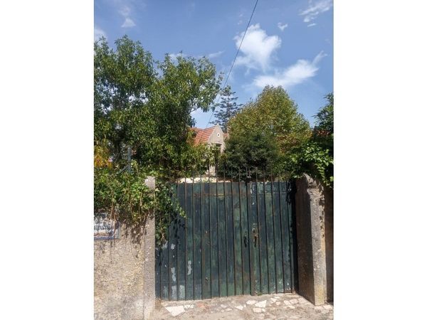 5-bedroom freehold villa in Sintra/Colares — photo 4 of 5
