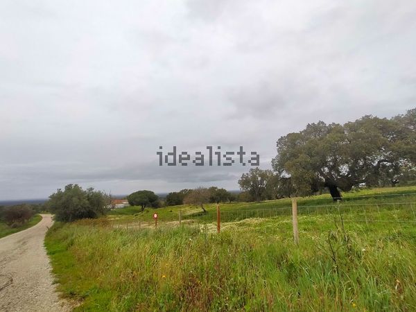 2-bedroom freehold villa in Comporta/Melides — photo 4 of 5