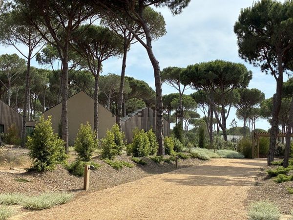 Detached house in Carvalhal - Pego, Carvalhal — image 4