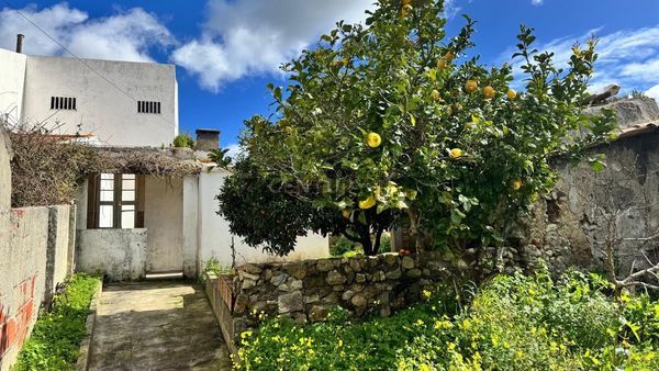 3-bedroom freehold villa in Mafra/Ericeira — photo 2 of 5
