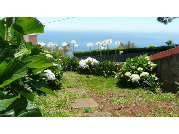 3-bedroom freehold villa in Calheta — photo 3 of 5
