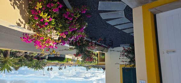 Terraced house in Estrada do Ribeiro Salgado, 42, Porto Santo — image 3