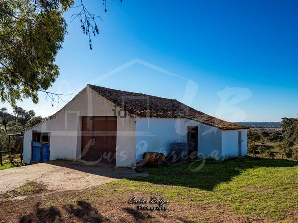 Estate in Rua Doutor Antonio José de Almeida, Azinheira dos Barros — image 5