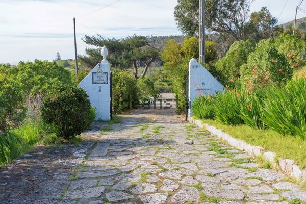 4-bedroom freehold villa in Cascais/Estoril — photo 4 of 5