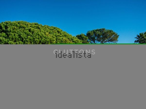 3-bedroom freehold villa in Cascais/Estoril — photo 2 of 5