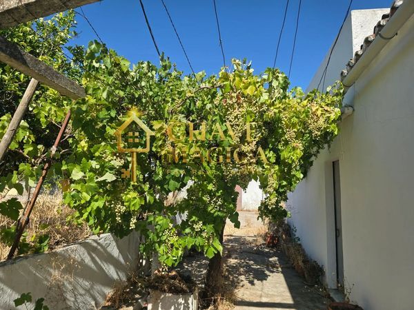 3-bedroom freehold villa in Faro — photo 5 of 5