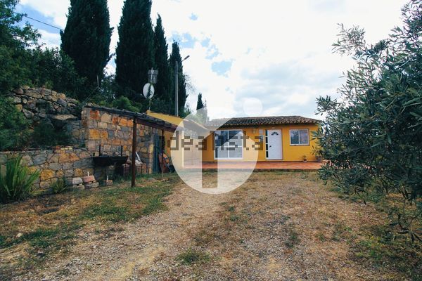Detached house in Rua Visconde de Estoi, Estoi — image 3