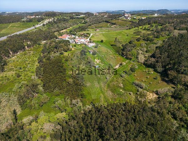 4-bedroom freehold villa in Mafra/Ericeira — photo 4 of 5