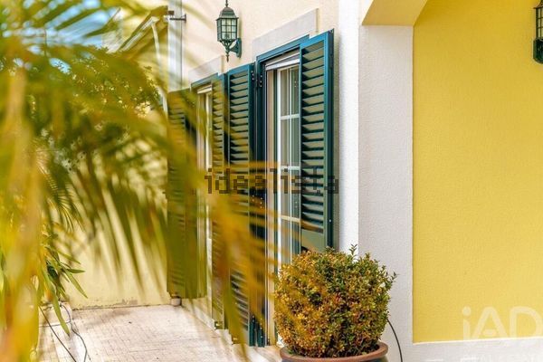 4-bedroom freehold villa in Mafra/Ericeira — photo 5 of 5