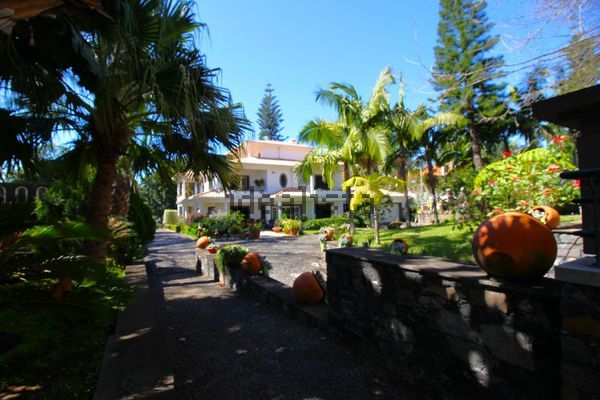7-bedroom freehold villa in Funchal — photo 3 of 5