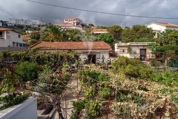 House in Santa Cruz — image 5