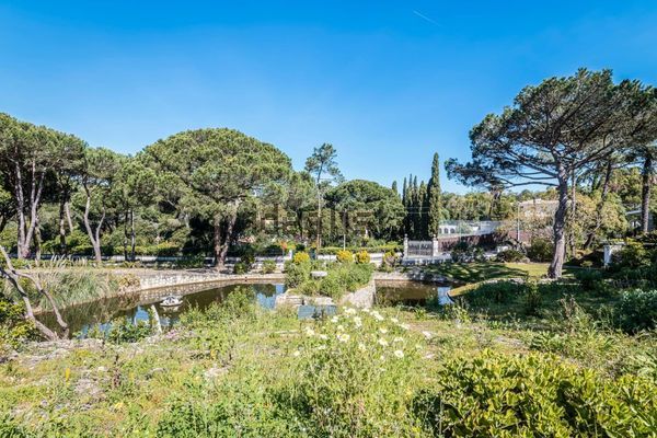 12-bedroom freehold villa in Cascais/Estoril — photo 3 of 5