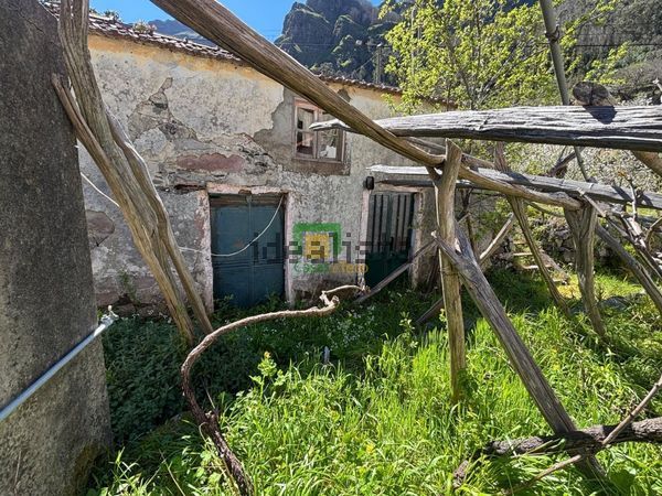 Detached house in Curral das Freiras — image 4