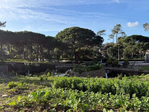 6-bedroom freehold villa in Cascais/Estoril — photo 3 of 5