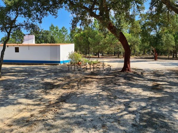 3-bedroom freehold villa in Comporta/Melides — photo 2 of 5